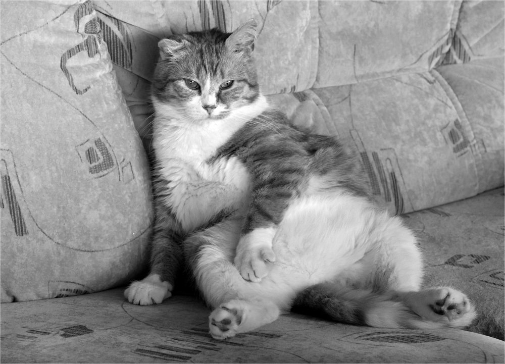 Таити, Таити...нас и тут неплохо кормят