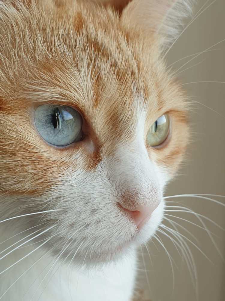 Photograph by Алексей Фомичев