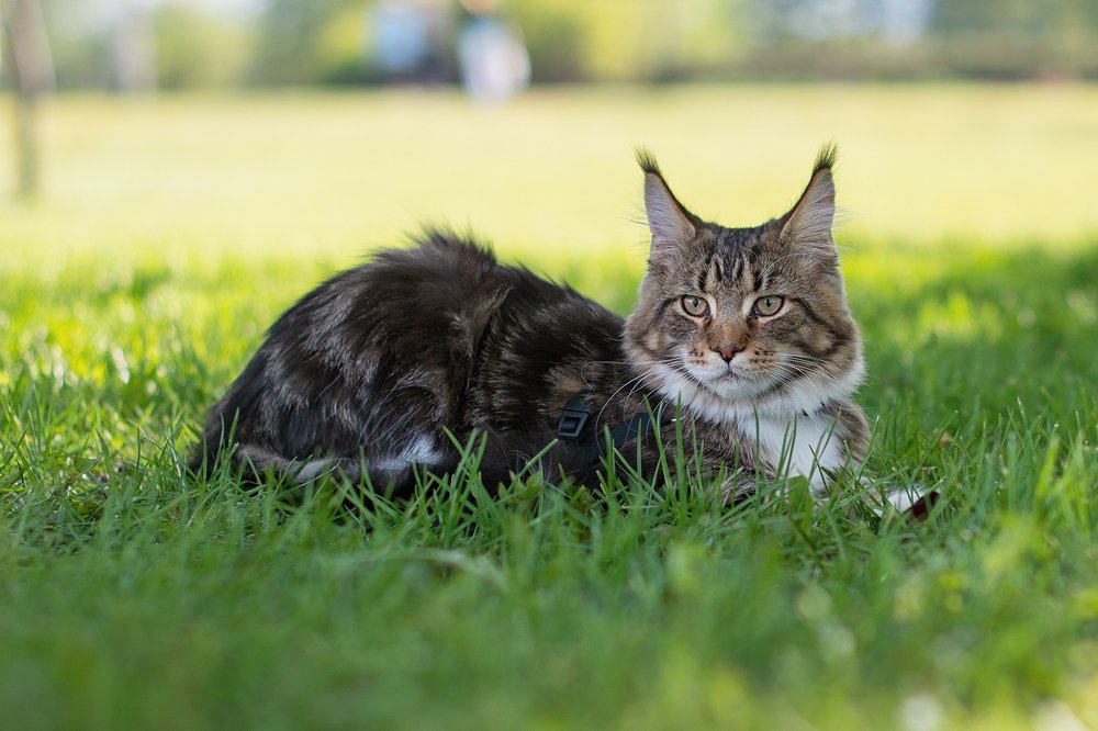 Photograph by Олеся Филиппова