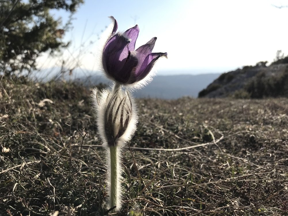 гордое одиночество