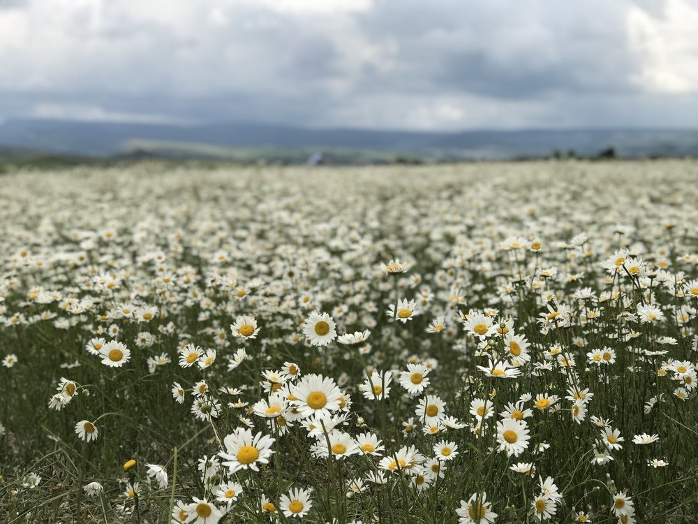 нежность под грозой