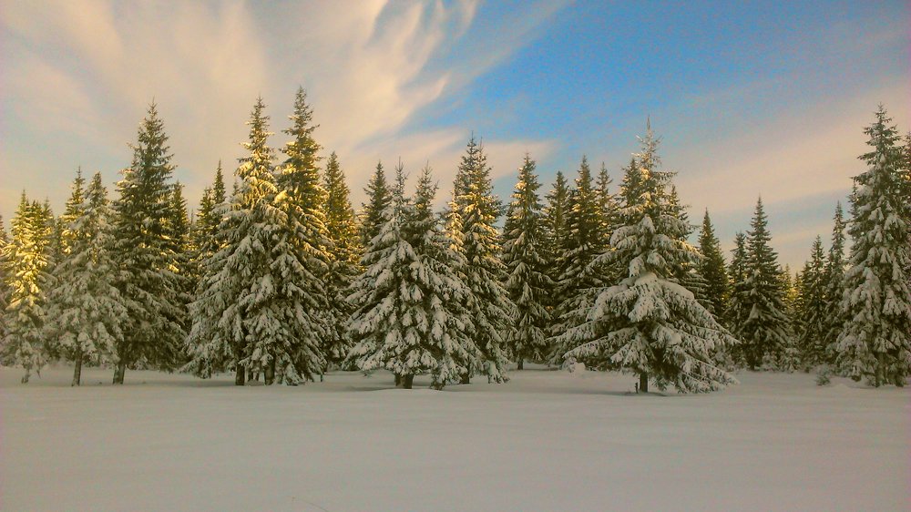 Photograph by Игорь Грегуль