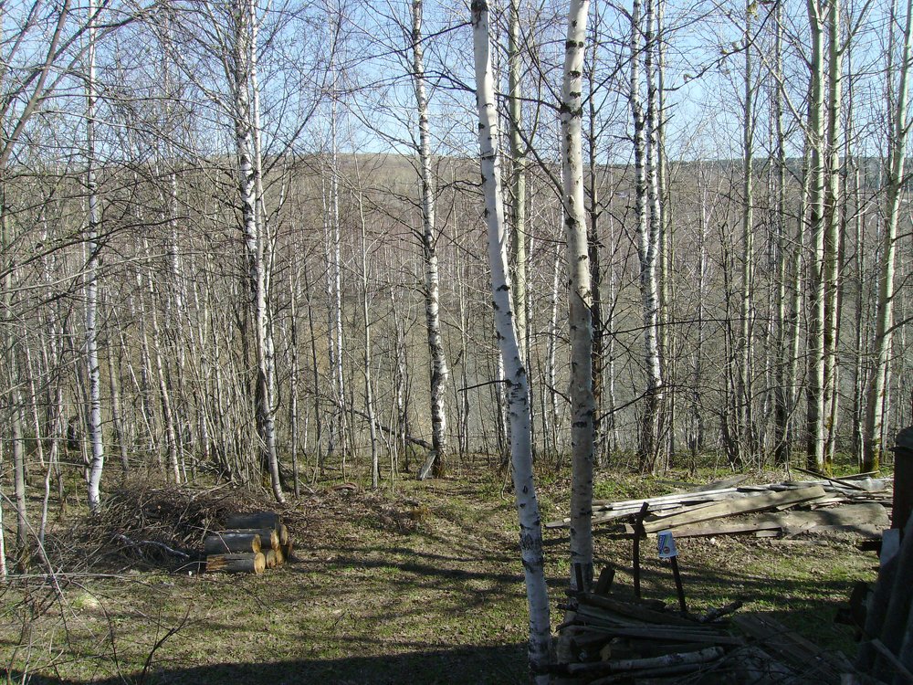Photograph by Игорь Грегуль