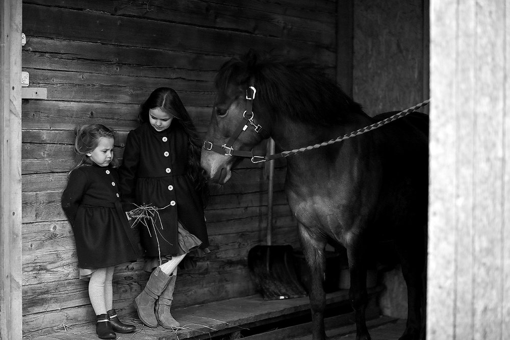 Покорми, не бойся