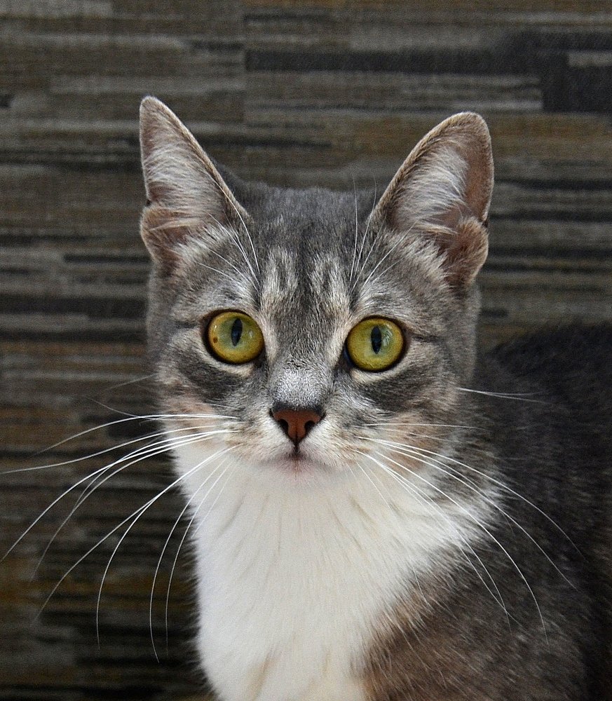 Photograph by Елена Боржковская