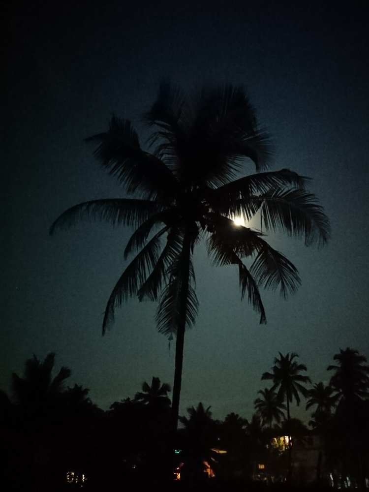 goa