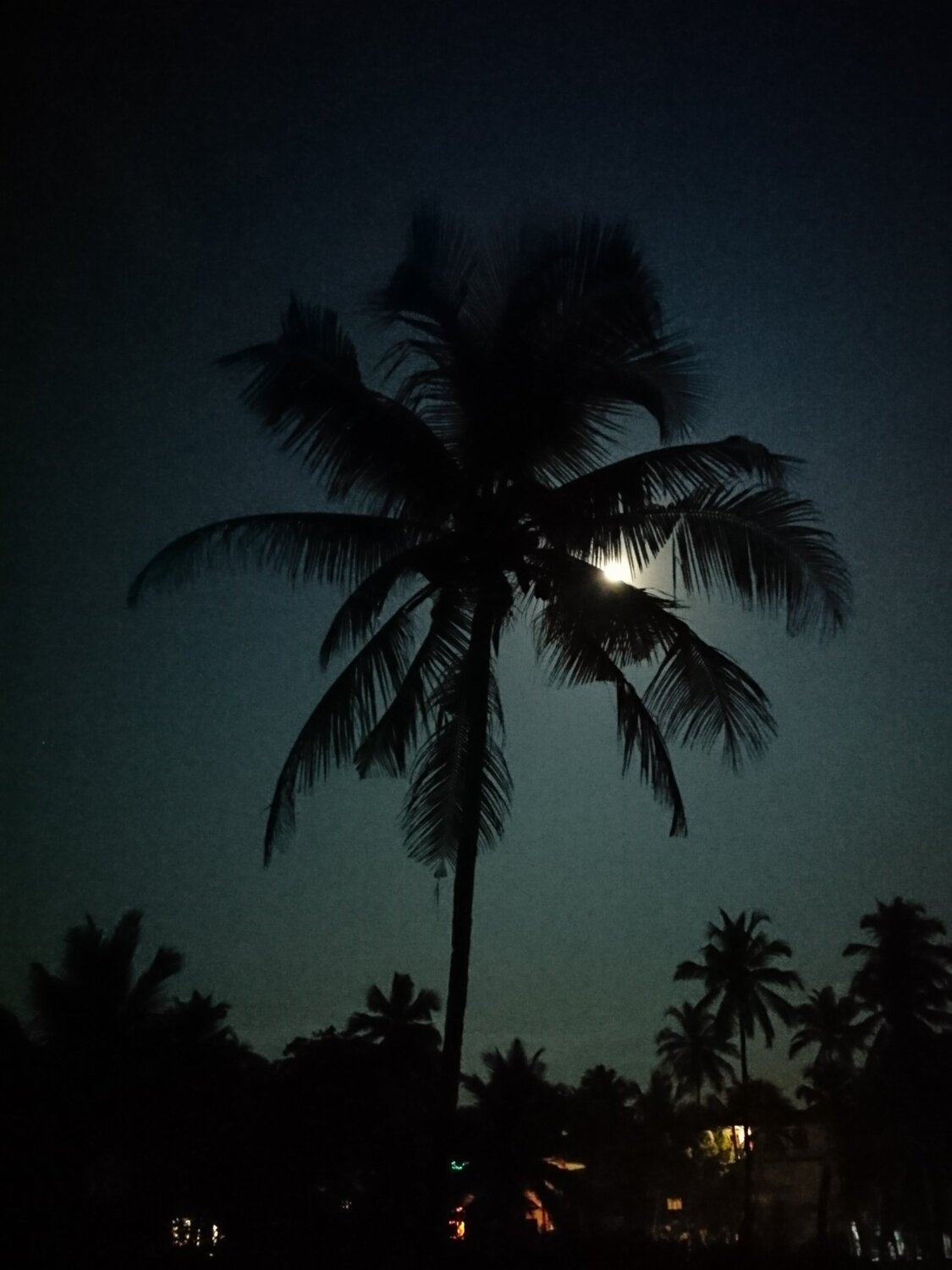 goa