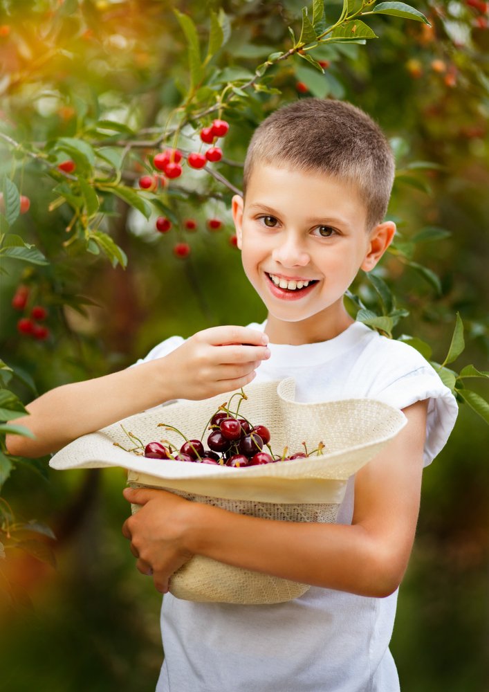 Вишневый сад