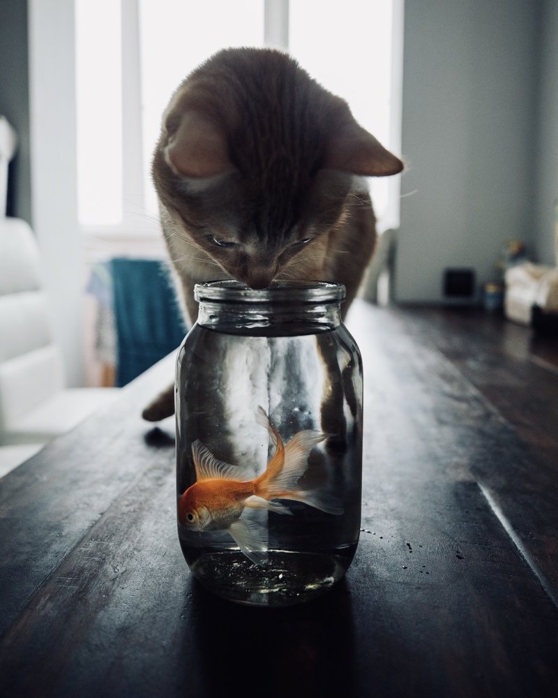 Photograph by Артур Газиев