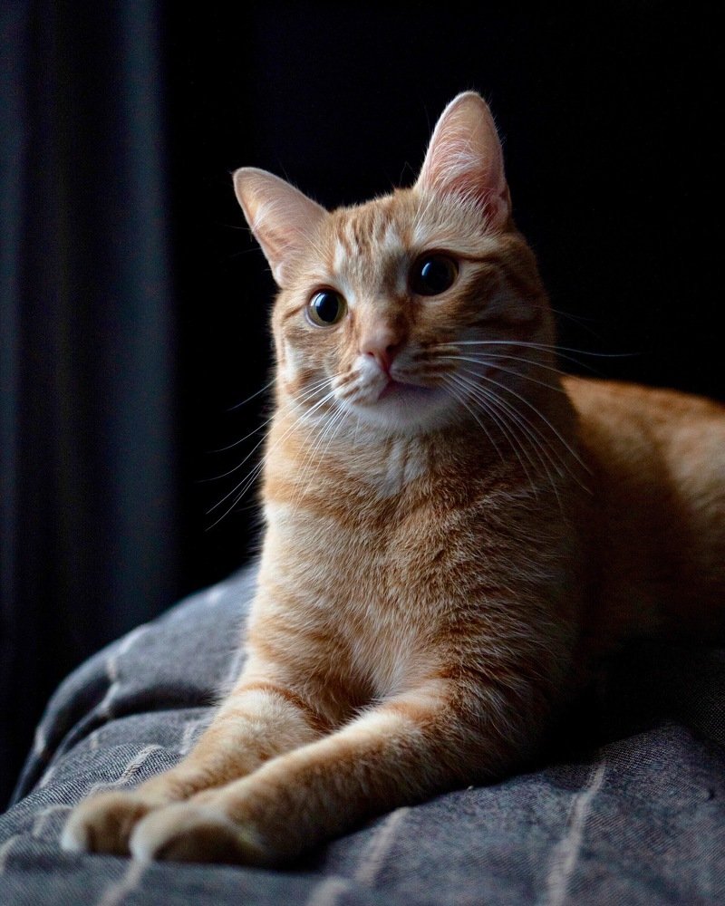 Photograph by Артур Газиев