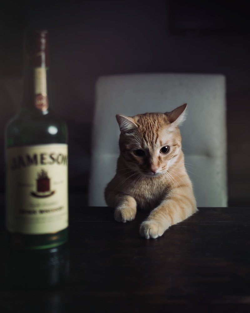 Photograph by Артур Газиев