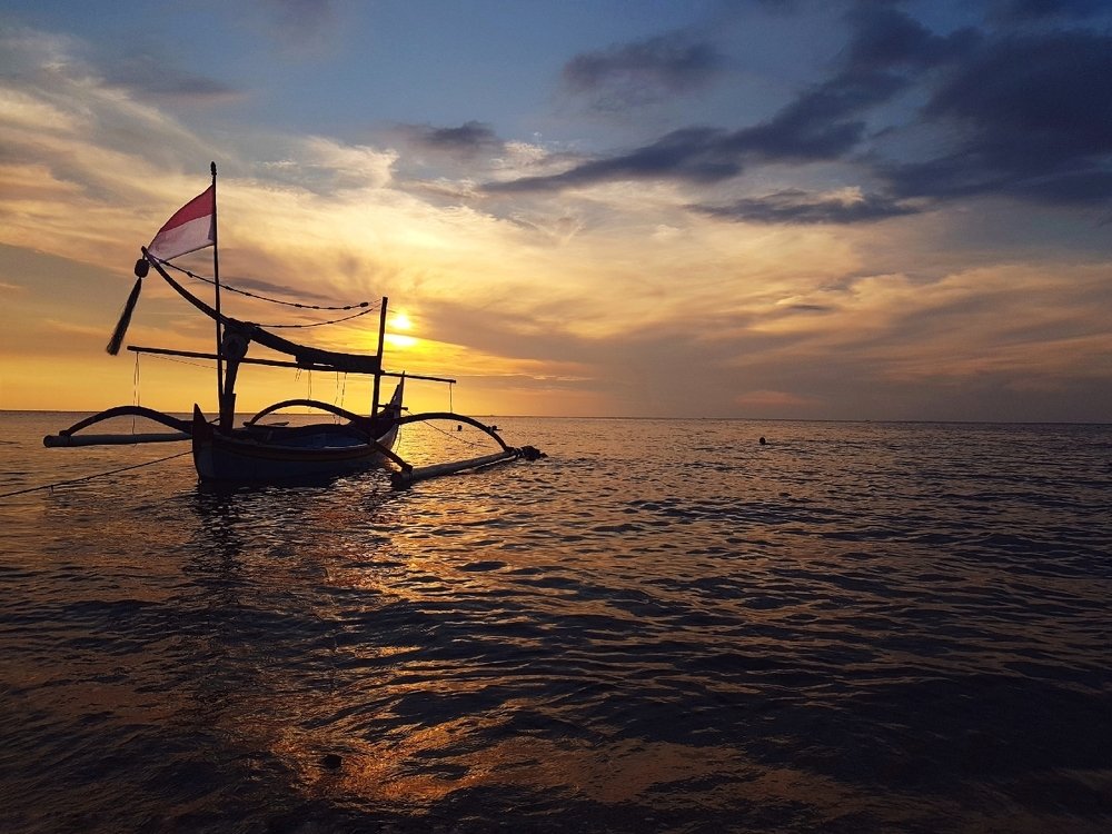 Indonesian ancestors