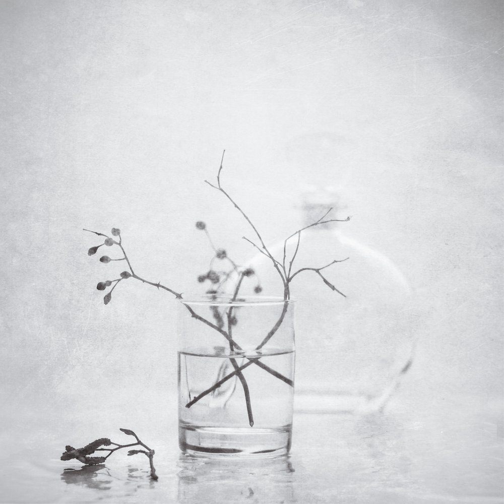 Photograph by Соколовская Алла