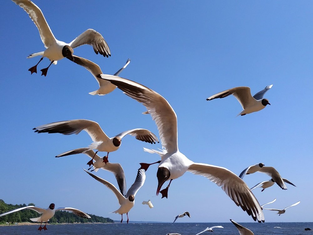 Photograph by Екатерина Бевзенко