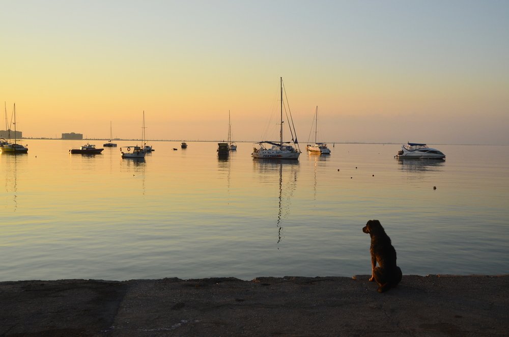 Пусть иполнится твоя мечта, бродяга...