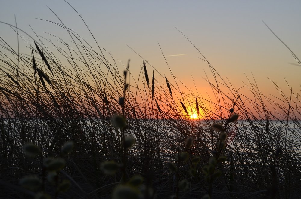 Photograph by Galina Baranovskaja