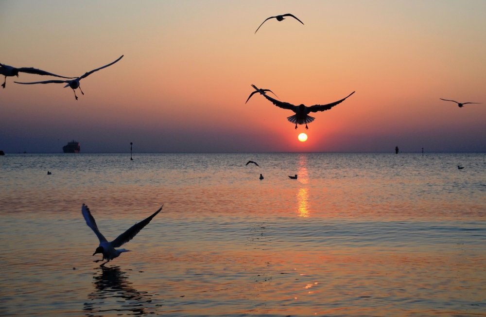 Photograph by Galina Baranovskaja