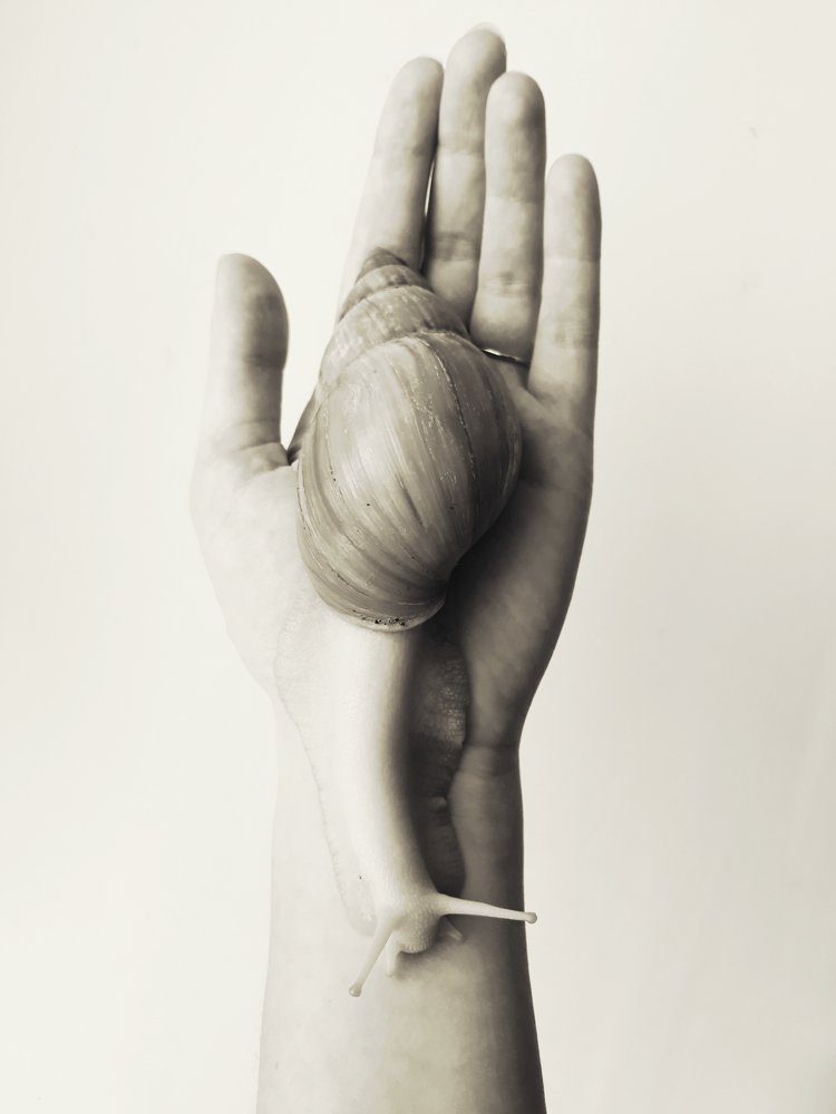 Верный друг