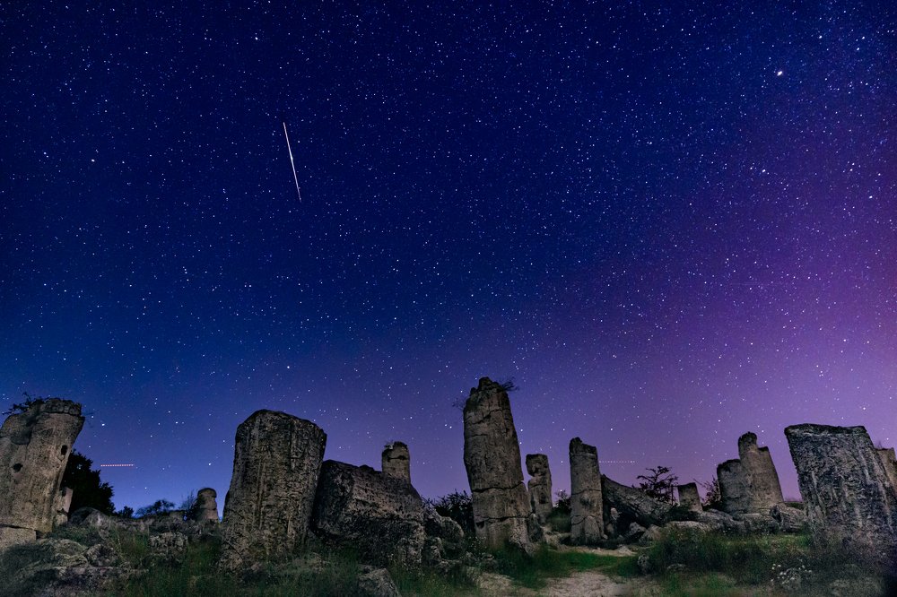 Night at Stone Forest