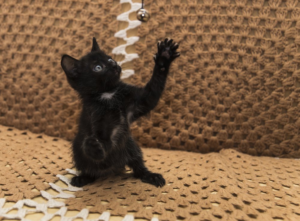 Всё впервые,первые шаги, первые игрушки.