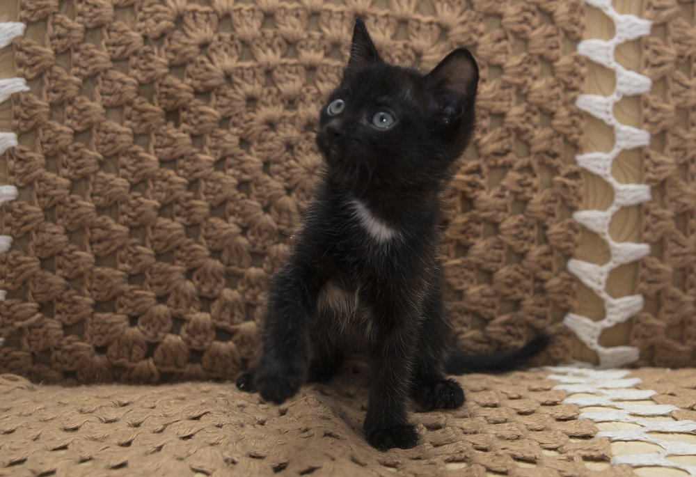 Первая фотосессия.