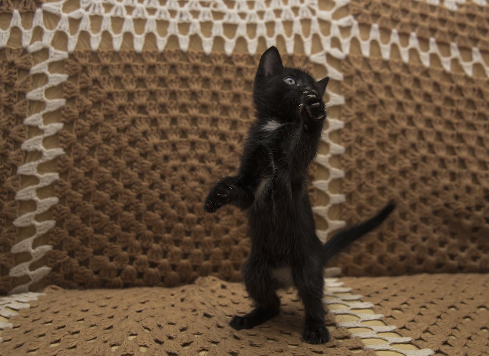 А я вот так могу.