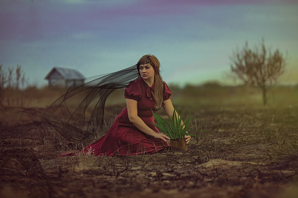 новая жизнь