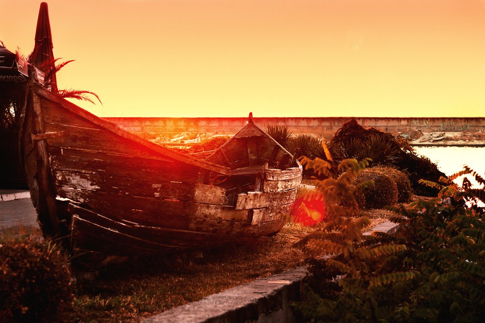 Photograph by Lara Noel