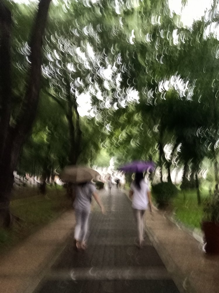 Photo #3394099