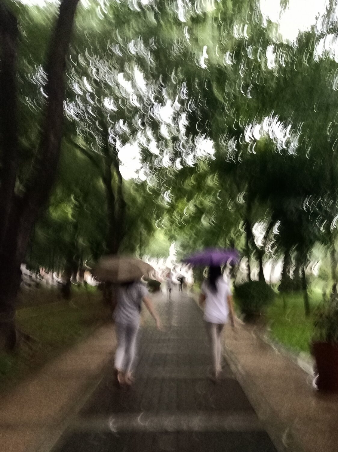 Photo #3394099