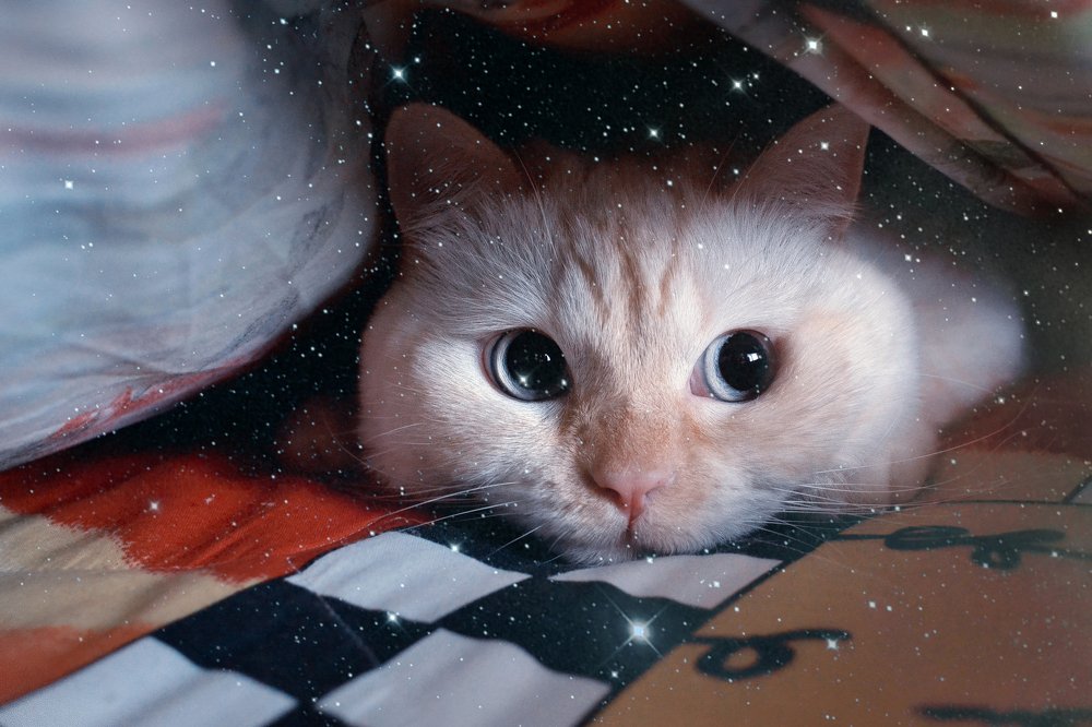 Photograph by Полина Хрол