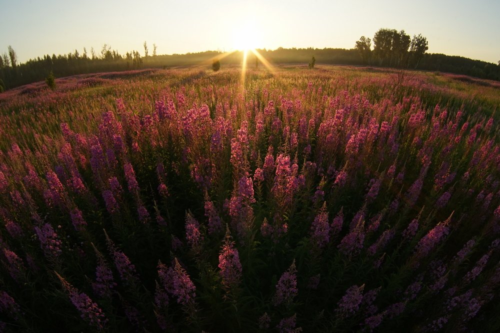 Приветствуем!