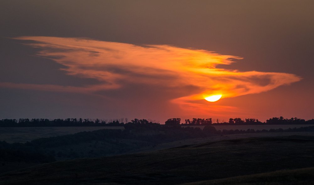 Солнечный джин.