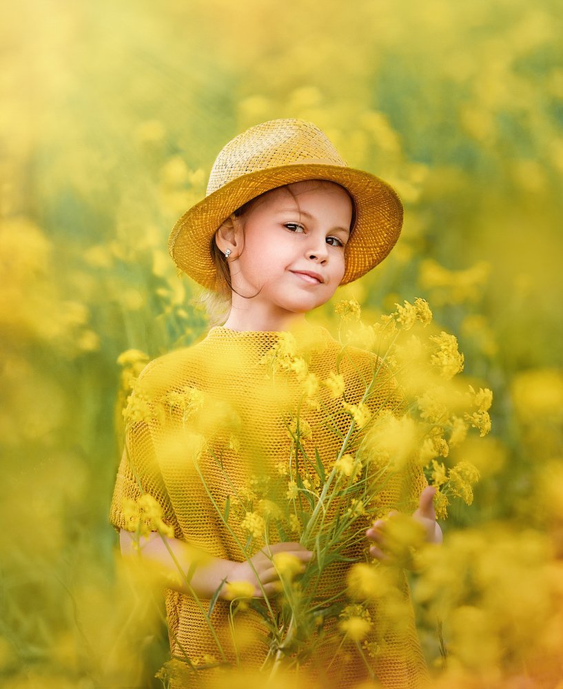 Полевые цветы