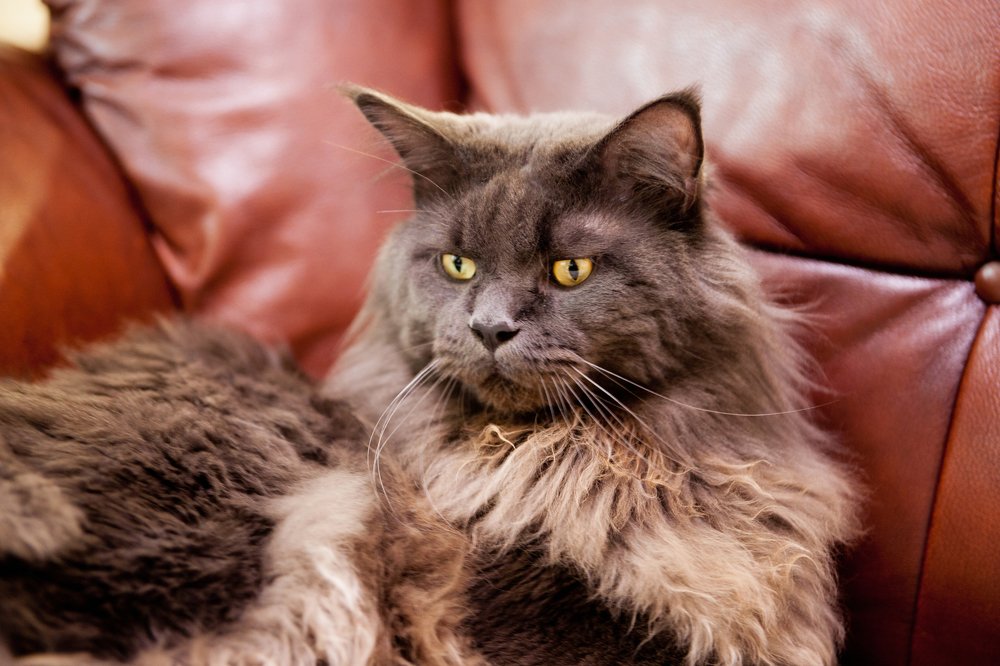 Photograph by Дина