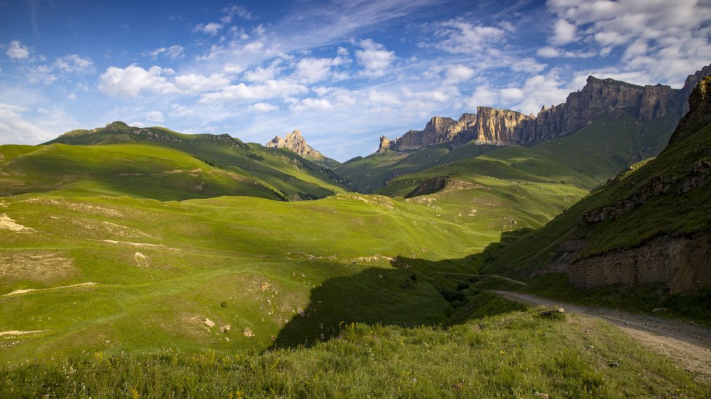 Зелёные волны