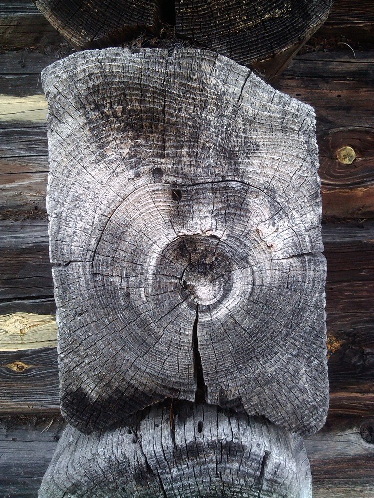 Выцветшая история