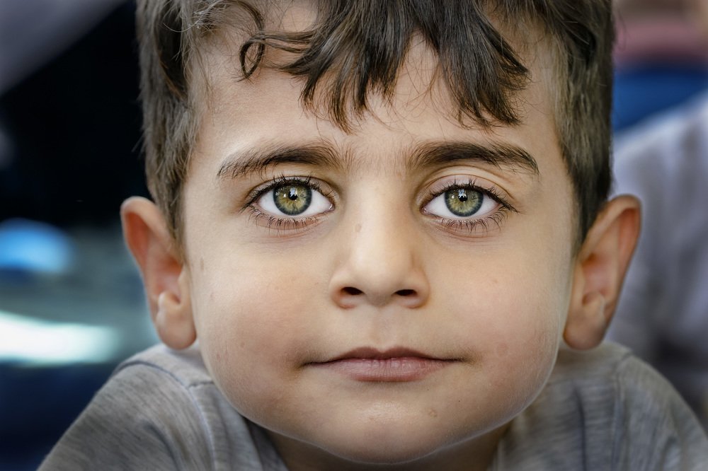 Фотография автора ziba alirezaei58