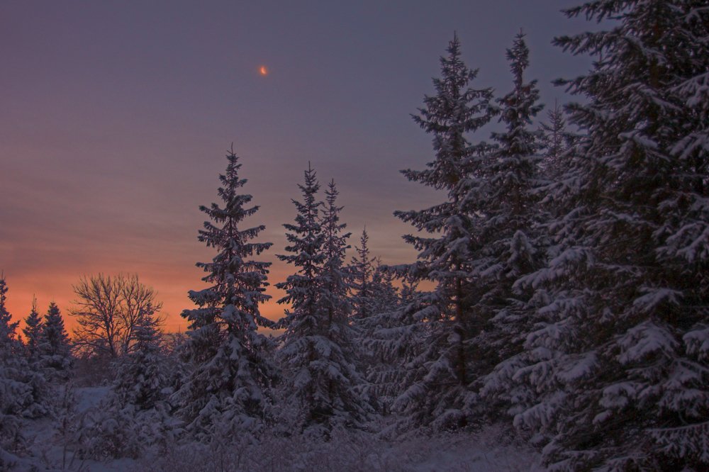 Photograph by Геннадий