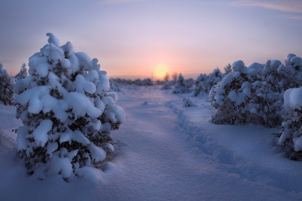 Photograph by Геннадий