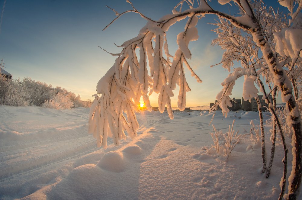 Утро в Заполярье.
