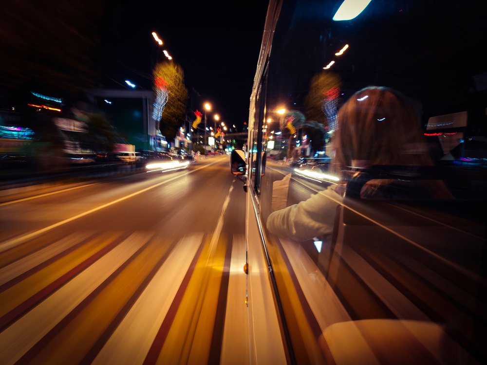 Ночная зебра