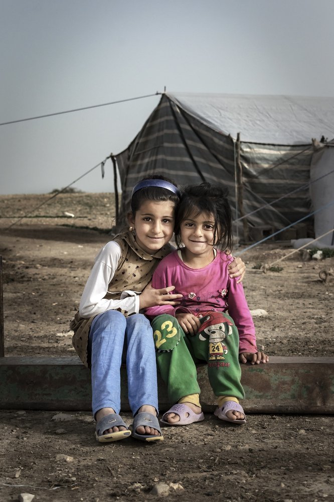 Фотография автора ziba alirezaei58