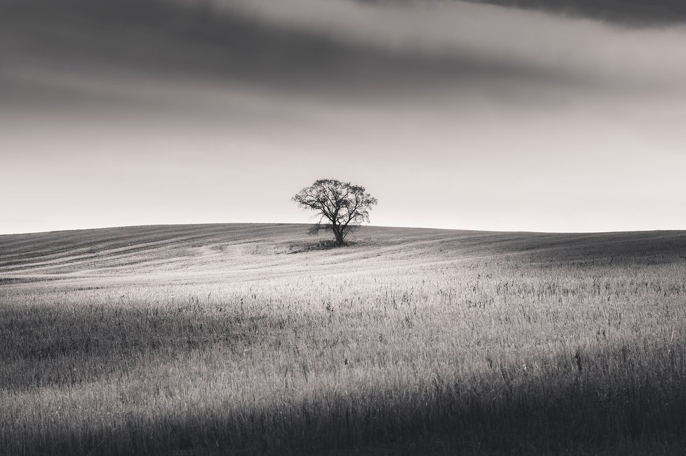 Фотография автора Yevgeny Anatolyevich