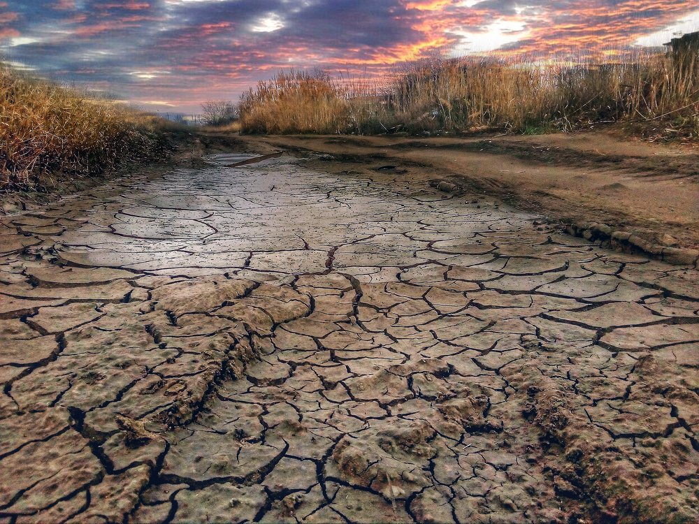 Апокалиптико