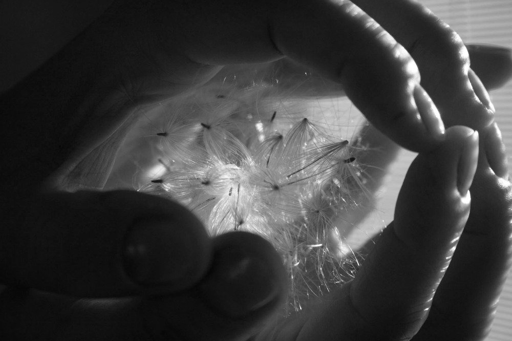 "Эндорфины_2"