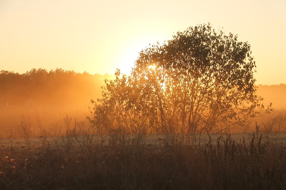 Пыльный закат