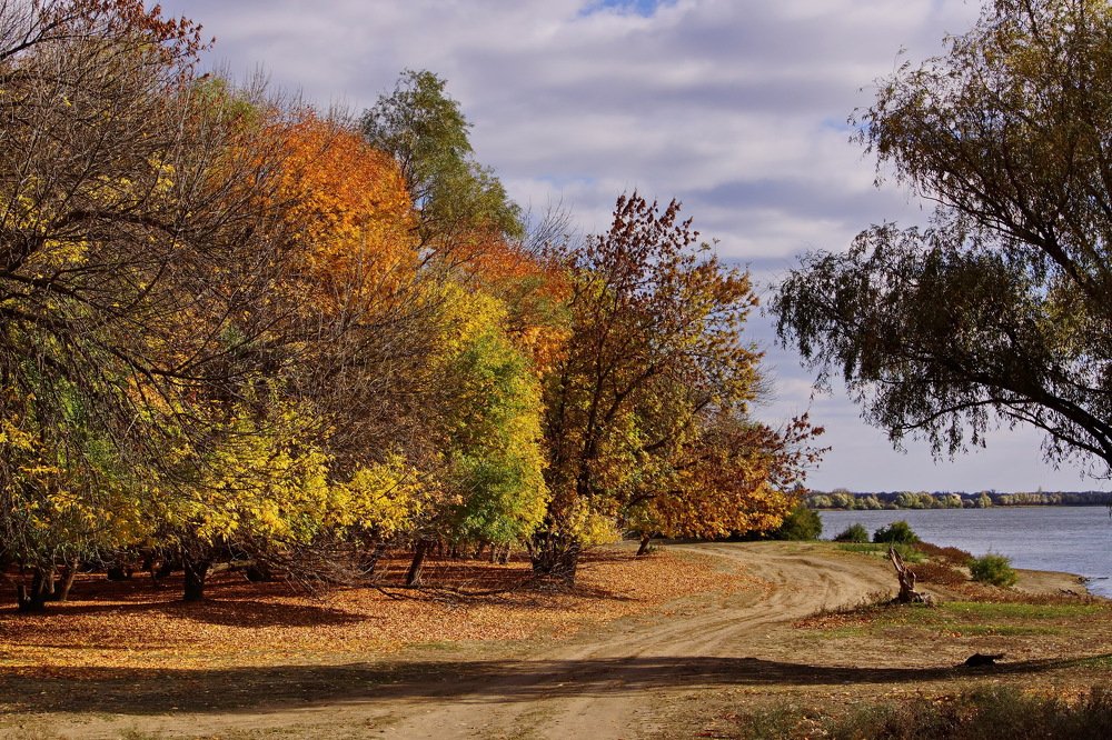 Осень на нижней Волге