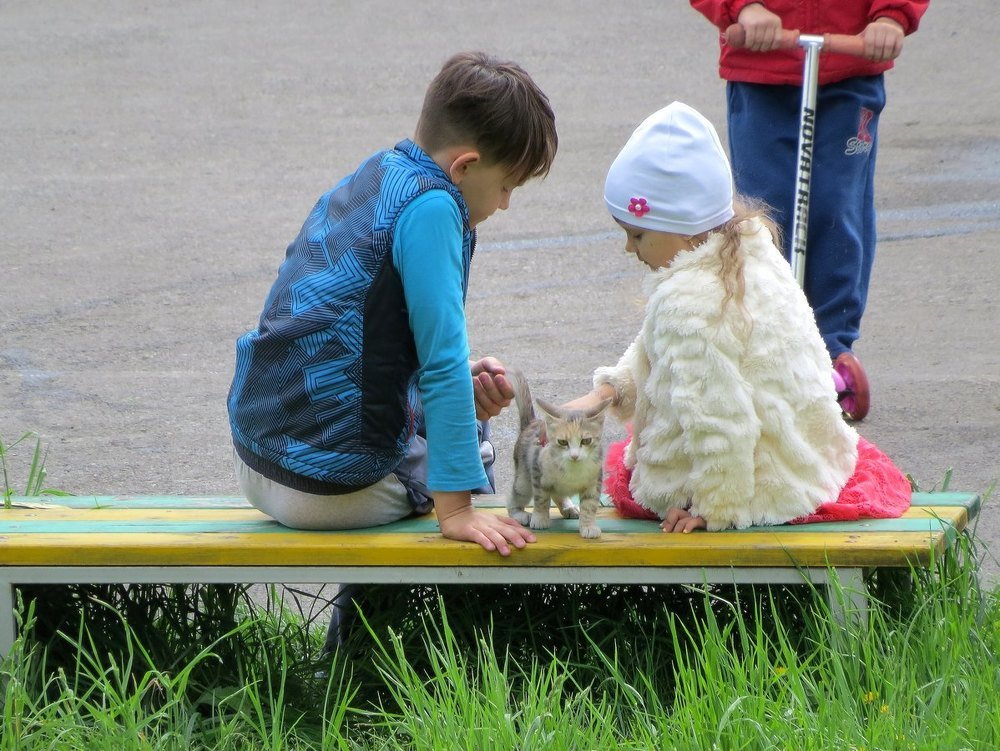 Photograph by Елена Лапина