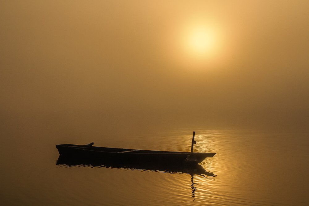 Золотой рассвет